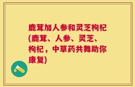 鹿茸加人参和灵芝枸杞(鹿茸、人参、灵芝、枸杞，中草药共舞助你康复)