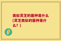 类似灵芝的菌种是什么(灵芝类似的菌种是什么？)