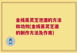 金线莲灵芝泡酒的方法和功效(金线莲灵芝酒的制作方法及作用)