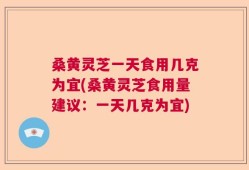 桑黄灵芝一天食用几克为宜(桑黄灵芝食用量建议：一天几克为宜)