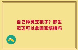 自己种灵芝孢子？野生灵芝可以拿回家培植吗