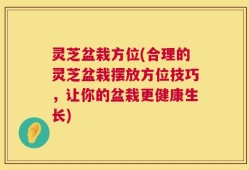 灵芝盆栽方位(合理的灵芝盆栽摆放方位技巧，让你的盆栽更健康生长)