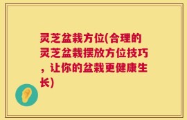 灵芝盆栽方位(合理的灵芝盆栽摆放方位技巧，让你的盆栽更健康生长)