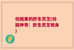 校园里的野生灵芝(校园神奇：野生灵芝现身)