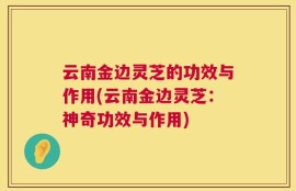 云南金边灵芝的功效与作用(云南金边灵芝：神奇功效与作用)