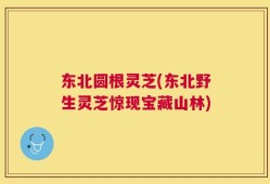 东北圆根灵芝(东北野生灵芝惊现宝藏山林)