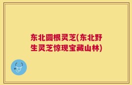 东北圆根灵芝(东北野生灵芝惊现宝藏山林)