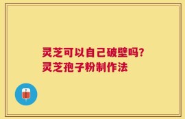 灵芝可以自己破壁吗？灵芝孢子粉制作法