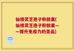 仙楼灵芝孢子粉胶囊(仙楼灵芝孢子粉胶囊——提升免疫力的圣品)