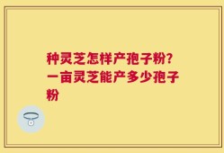 种灵芝怎样产孢子粉？一亩灵芝能产多少孢子粉