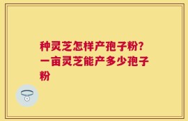 种灵芝怎样产孢子粉？一亩灵芝能产多少孢子粉
