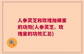 人参灵芝和玫瑰加蜂蜜的功效(人参灵芝、玫瑰蜜的功效汇总)