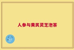 人参与黄芪灵芝泡茶