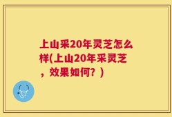 上山采20年灵芝怎么样(上山20年采灵芝，效果如何？)