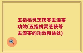 五指桃灵芝茯苓去湿茶功效(五指桃灵芝茯苓去湿茶的功效和益处)