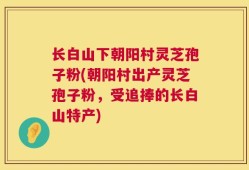 长白山下朝阳村灵芝孢子粉(朝阳村出产灵芝孢子粉，受追捧的长白山特产)