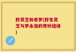 野灵芝和老罗(野生灵芝与罗永浩的奇妙结缘)