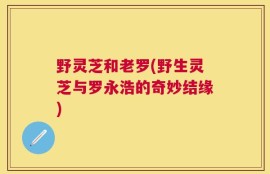 野灵芝和老罗(野生灵芝与罗永浩的奇妙结缘)