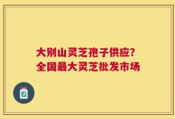 大别山灵芝孢子供应？全国最大灵芝批发市场