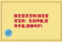 回芝堂灵芝粉(回芝堂灵芝粉：生态种植,营养丰富,健康呵护)