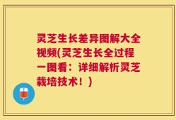 灵芝生长差异图解大全视频(灵芝生长全过程一图看：详细解析灵芝栽培技术！)