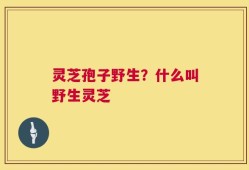 灵芝孢子野生？什么叫野生灵芝
