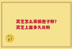 灵芝怎么采摘孢子粉？灵芝上面多久长粉