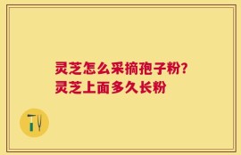 灵芝怎么采摘孢子粉？灵芝上面多久长粉