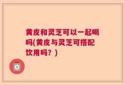 黄皮和灵芝可以一起喝吗(黄皮与灵芝可搭配饮用吗？)