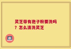 灵芝带有孢子粉要洗吗？怎么清洗灵芝
