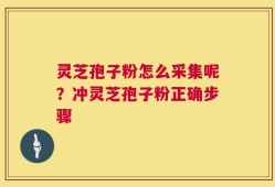 灵芝孢子粉怎么采集呢？冲灵芝孢子粉正确步骤