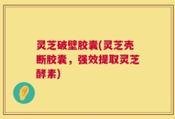 灵芝破壁胶囊(灵芝壳断胶囊，强效提取灵芝酵素)