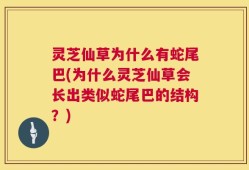 灵芝仙草为什么有蛇尾巴(为什么灵芝仙草会长出类似蛇尾巴的结构？)