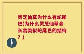 灵芝仙草为什么有蛇尾巴(为什么灵芝仙草会长出类似蛇尾巴的结构？)