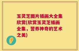 玉灵芝图片插画大全集欣赏(欣赏玉灵芝插画全集，营养神奇的艺术之美)