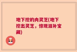 地下挖的肉灵芝(地下挖出灵芝，惊现滋补宝藏)