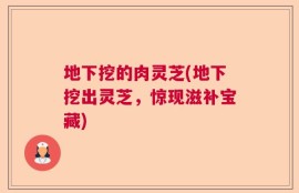 地下挖的肉灵芝(地下挖出灵芝，惊现滋补宝藏)