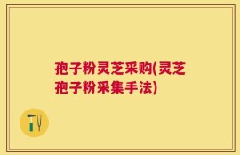 孢子粉灵芝采购(灵芝孢子粉采集手法)