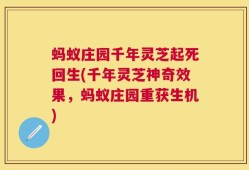 蚂蚁庄园千年灵芝起死回生(千年灵芝神奇效果，蚂蚁庄园重获生机)