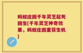 蚂蚁庄园千年灵芝起死回生(千年灵芝神奇效果，蚂蚁庄园重获生机)