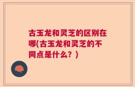 古玉龙和灵芝的区别在哪(古玉龙和灵芝的不同点是什么？)