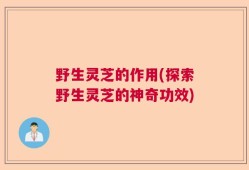 野生灵芝的作用(探索野生灵芝的神奇功效)