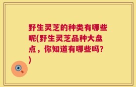 野生灵芝的种类有哪些呢(野生灵芝品种大盘点，你知道有哪些吗？)