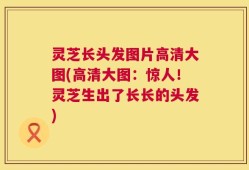 灵芝长头发图片高清大图(高清大图：惊人！灵芝生出了长长的头发)
