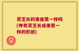 灵芝长的像韭菜一样吗(神奇灵芝长成像葱一样的形状)