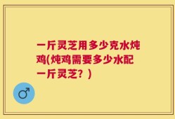 一斤灵芝用多少克水炖鸡(炖鸡需要多少水配一斤灵芝？)
