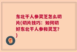 东北干人参灵芝怎么切片(切片技巧：如何切好东北干人参和灵芝？)