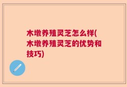 木墩养殖灵芝怎么样(木墩养殖灵芝的优势和技巧)