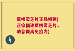 葛根灵芝片正品福建(正宗福建葛根灵芝片，助您提高免疫力)