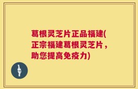 葛根灵芝片正品福建(正宗福建葛根灵芝片，助您提高免疫力)